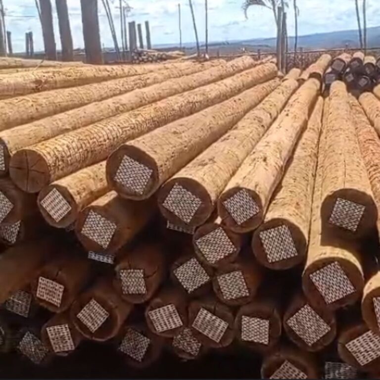 mourões eucalipto tratado mourões eucalipto tratado